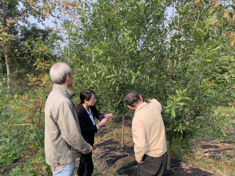 祝賀蘇州·園區園林林木新品種通過專家現場審查